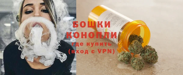 PSILOCYBIN Белокуриха