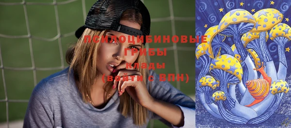 PSILOCYBIN Белокуриха
