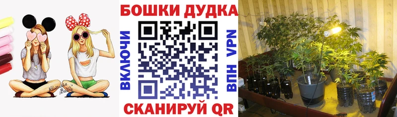 закладки  Ворсма  Канабис OG Kush 
